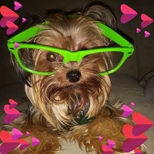 Meet your Posher, Tiffany